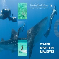 Book Water Sports in Maldives  Water Activity  Reethi Beach Resort