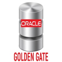 Oracle Golden Gate Online Training Institute From India  Viswa Online